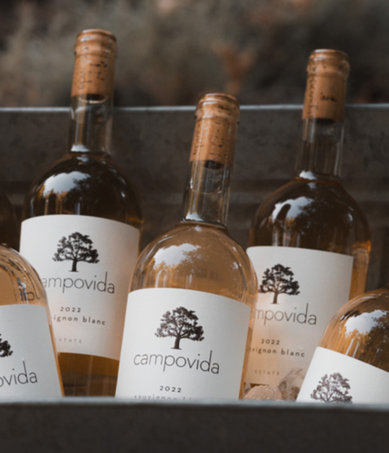 Shop our wines image